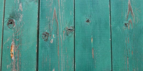 Fototapeta premium Wood