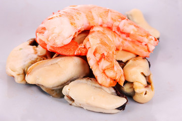 Seafood isolated on white