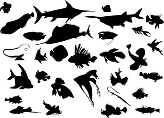 set of exotic fishes silhouettes