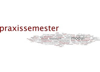 Praxissemester