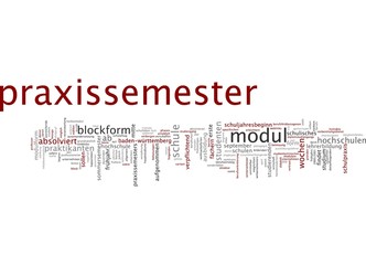 Praxissemester