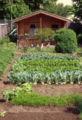 Fototapeta na wymiar Dom ogród z ogrodu warzywnego