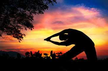 Yoga silhouette parighasana beam pose