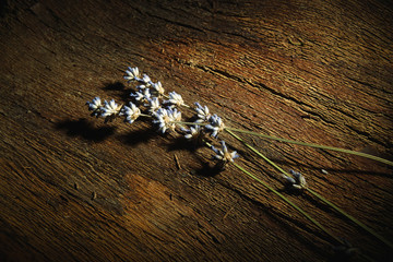 Lavender on a wooden background