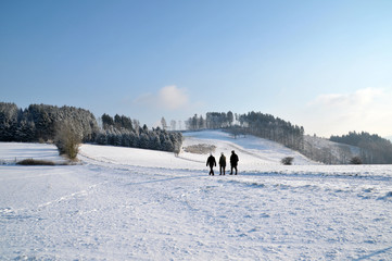Winterlandschaft im Sauerland