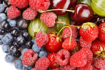different kinds of berries