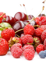 different kinds of berries
