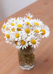 bunch of daisies