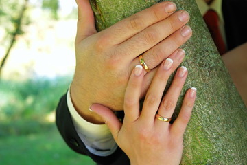 hand an hand durchs leben