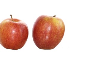 Fresh gred apples on a white background