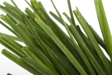 Fototapeta premium Green onions scallions fresh bunch