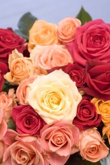 Rosen