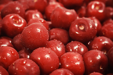 Sweet cherries with water drops and selective focus