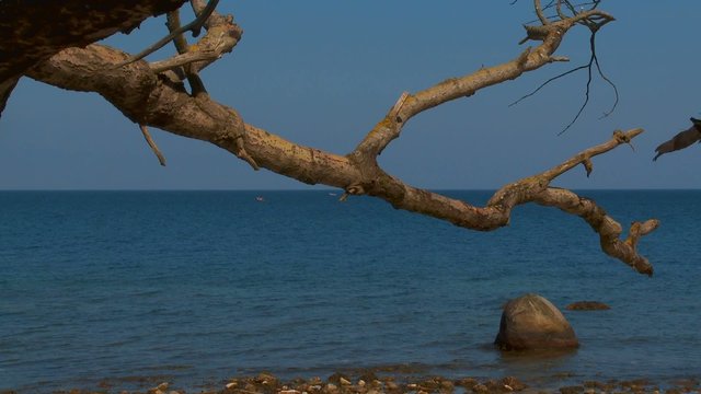 fehmarn