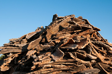 Cork wood slices in Sardinia, Italy