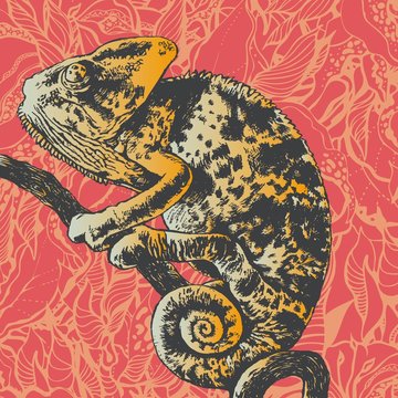 abstract floral background with chameleon