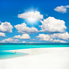 Fototapeta na wymiar tropical sand beach over cloudy sky.
