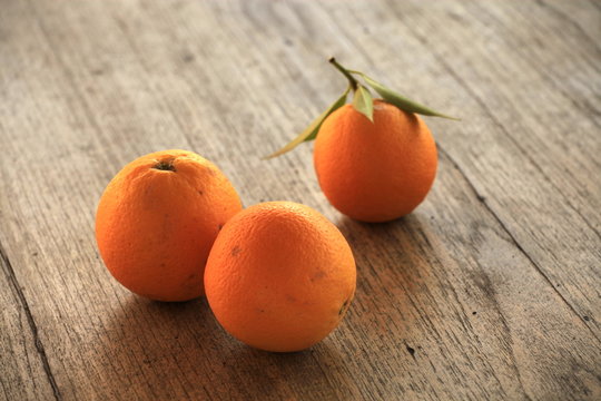Fr&uuml;chte 33
