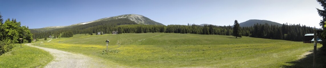 Fototapeta na wymiar mountain meadow in Modry dul in Krkonose