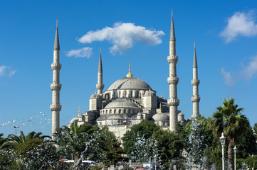 Fototapeta premium Sultanhamet Mosque, Istanbul