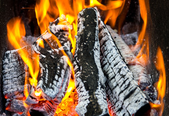 Burning wood and coal in fireplace