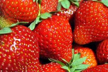 fresh strawberries