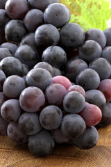 fresh concord  grapes