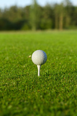 Golf ball on the tee close up