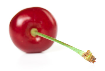 Sweet cherry