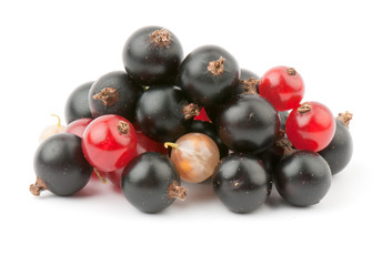 currant