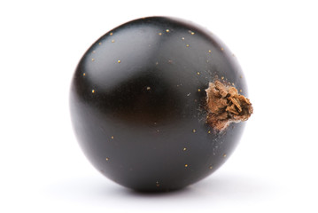 currant