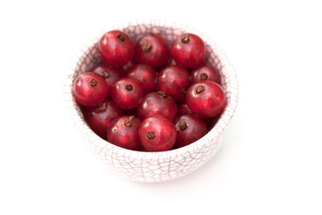 red currant
