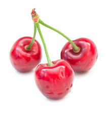 Sweet cherry