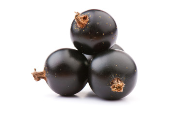 currant