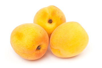 apricot