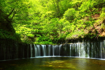 軽井沢・白糸の滝