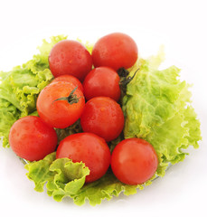 tomato and lettuce