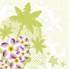 Obraz premium Summer background