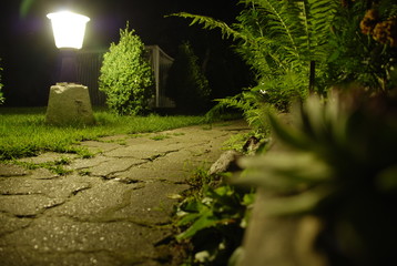 Nocny ogród - obrazy, fototapety, plakaty