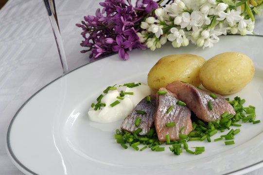 Pickled herring