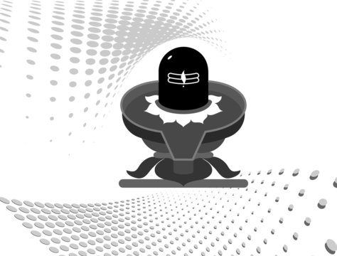 Vector shivlinga