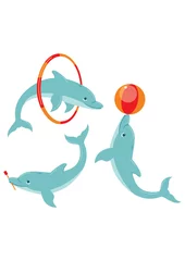 Deurstickers Dolfijnen Speelse dolfijnen
