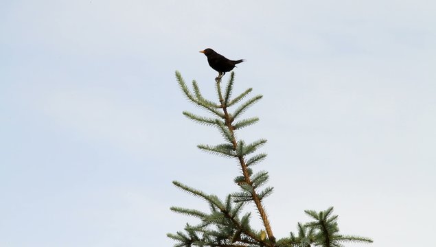 Ankommen und mitteilen