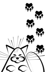 The Cat and the traces