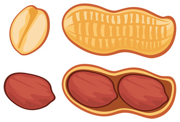 peanut
