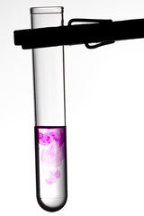 reagenzglas im labor