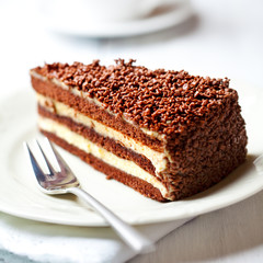 Piece of delicious chocolate cake
