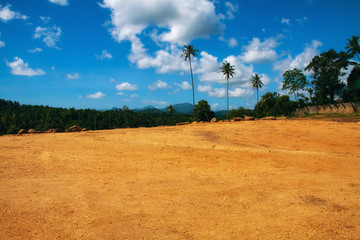Sri Lankan landscape