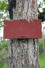 Blank wooden sign on tree