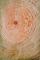 Naklejka premium Yearnings